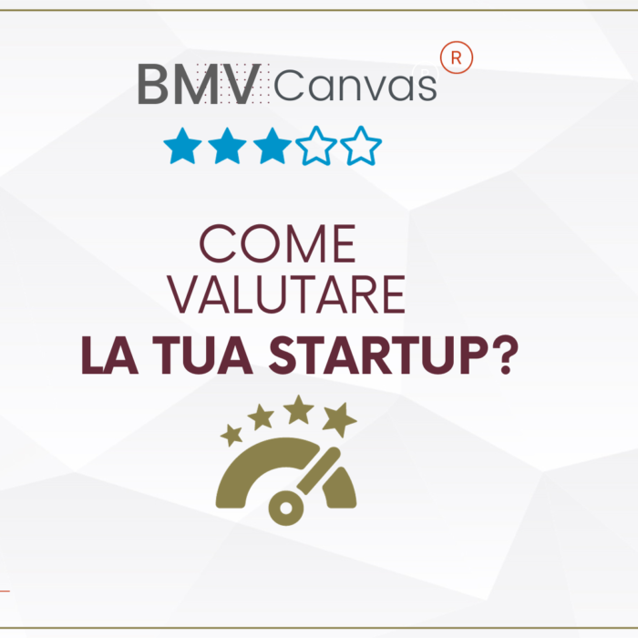 FRAMEWORK BMV CANVAS