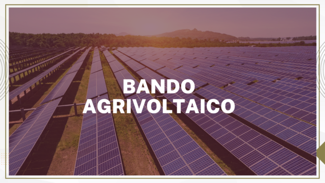 bando agrivoltaico